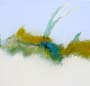 Del blu nel grano_2013